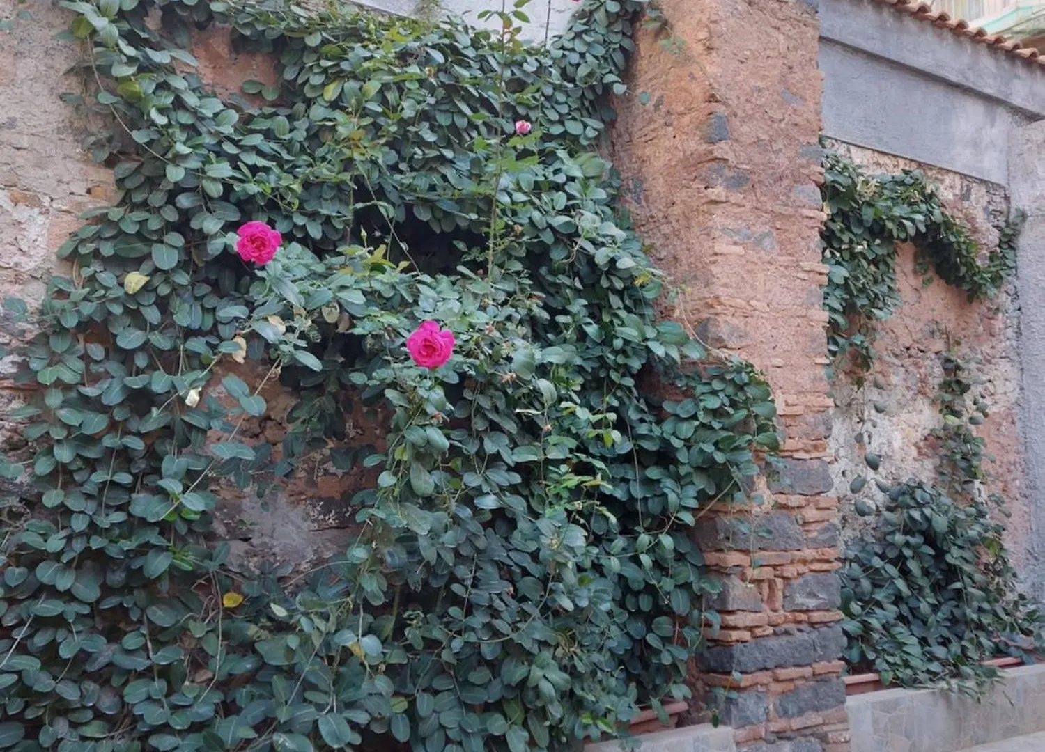 La Casina Di Lu Villa Catania
